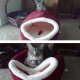 catlogic-14