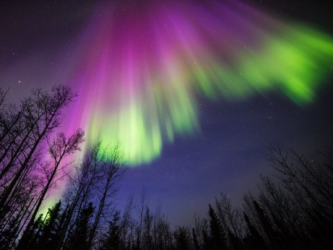 aurora (1)