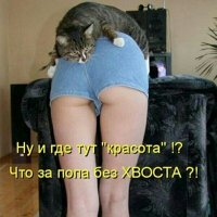 ПОПА БЕЗ ХВОСТА