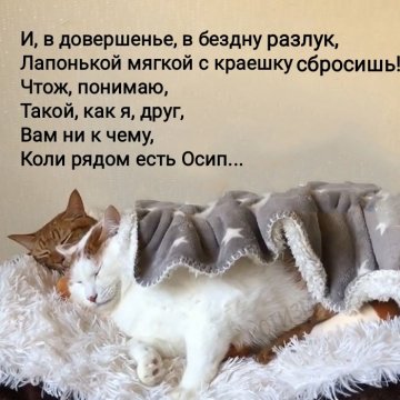 5. Маякотский