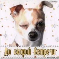 До скорой встречи