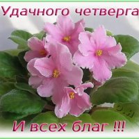 Удачного четверга!