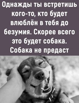 Собака не предаст