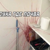 Поиск почвы