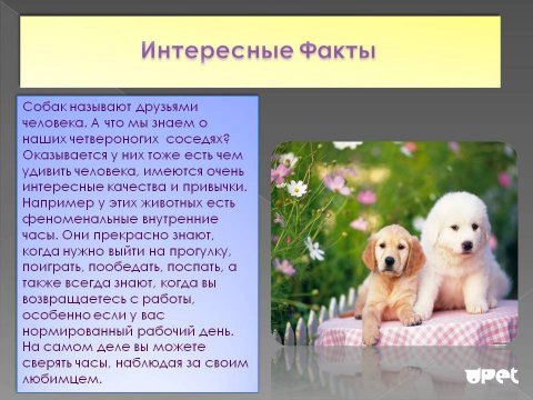 Интересные факты