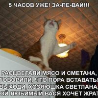 За-пе-вай!