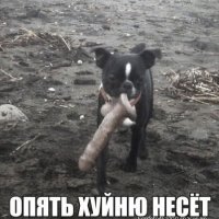 опять хуйню несет