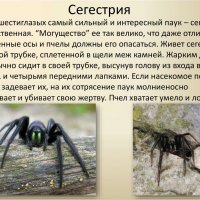 Сегестрия