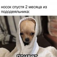 Носок объявился