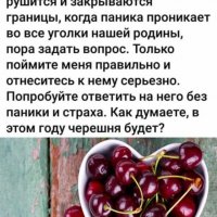 Как думаете