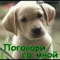 ПОГОВОРИМ