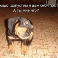 смешные статусы 03