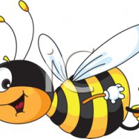 cheerful bee