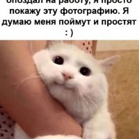 Котик