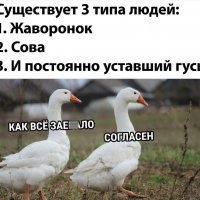 Согласен