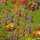 townsmen20131205 095308