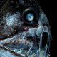 21 criaturas acuáticas aterradoras