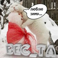 ВЕС ТА