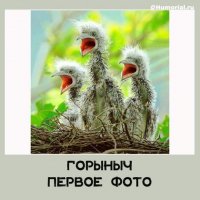 Змей Горыныч родился