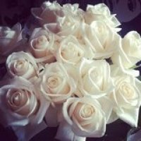 Белые.розы
