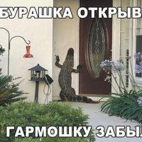 Открывааай лопоухий!