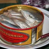 Serving Surströmming