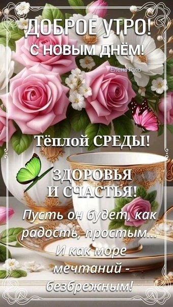 Тёплой среды!