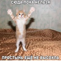 Сюда пока нельзя