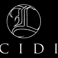 Lucidity Logo