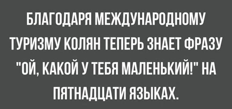 460567743 1070992871698125 8141887880018535867 n