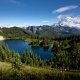 tolmie-peak-eunice-lake-gory