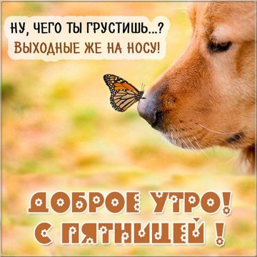 Доброе утро!