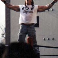 zandig3