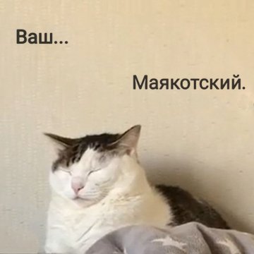 8. Маякотский