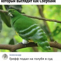 Как Сбербанк