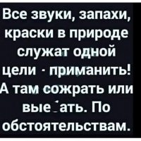 В точку