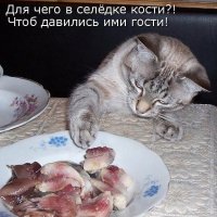 Опаньки!