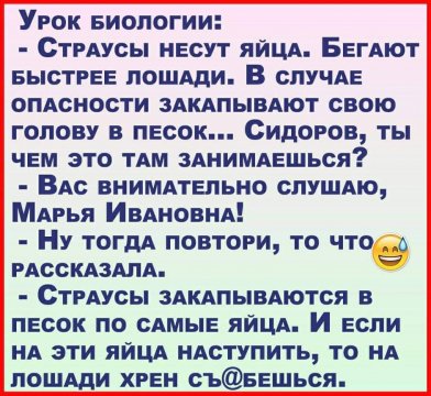 Страусы несут яйца.))