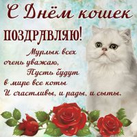 Изображение viber 2024-08-08 08-56-15-926