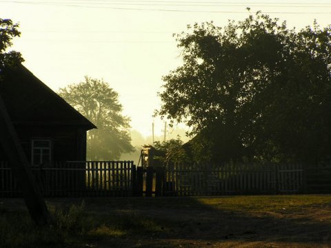 Фото Лесника