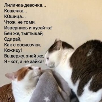 2. Маякотский