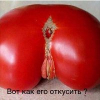 КАК ЕГО ОТКУСИТЬ?