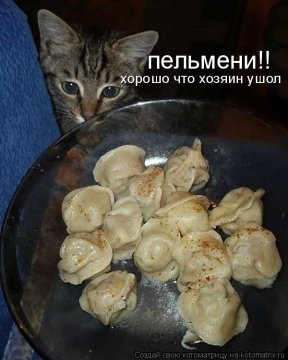 Пельмени!!