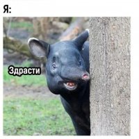 Здрасти