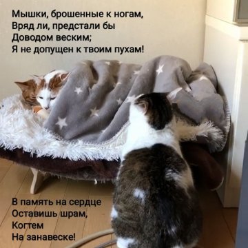 4. Маякотский