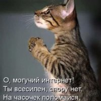 Котлет