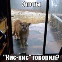 Кис кис говорил? Ну ну!