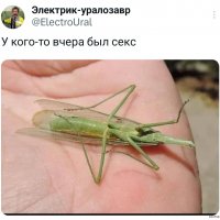 shutok.ru.01