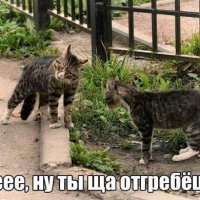 Ты ща огребёшь!