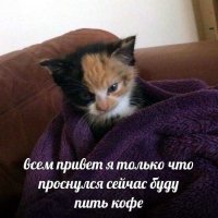 Пить кофе